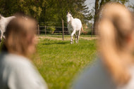 Meditatiedag 20 september 2026